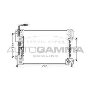 103476 AUTOGAMMA