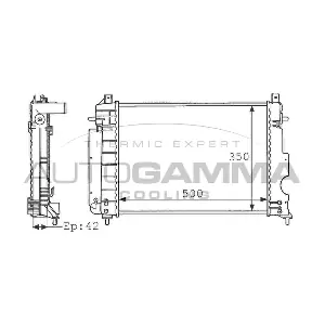 100938 AUTOGAMMA