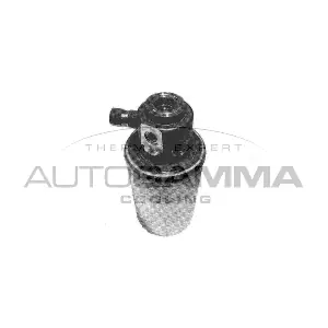 106137 AUTOGAMMA