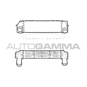 107306 AUTOGAMMA