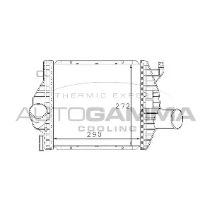 101507 AUTOGAMMA