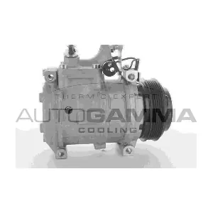 118388 AUTOGAMMA
