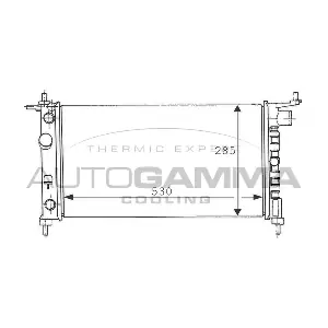 100676 AUTOGAMMA