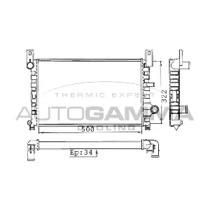 100331 AUTOGAMMA