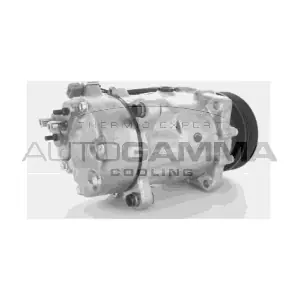AUTOGAMMA 108001