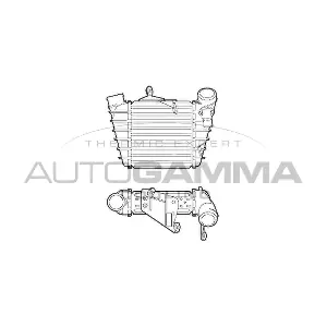 103366 AUTOGAMMA