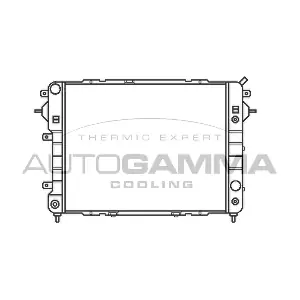 102239 AUTOGAMMA