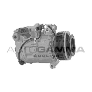 118616 AUTOGAMMA