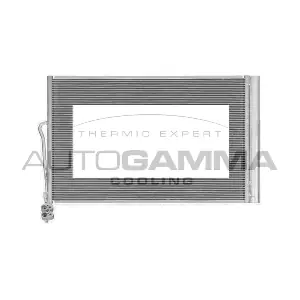 107696 AUTOGAMMA