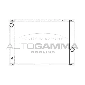 105531 AUTOGAMMA
