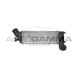 103224 AUTOGAMMA