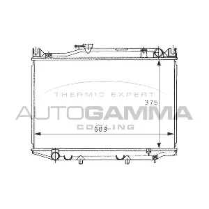 AUTOGAMMA 101007 Радіатор, система охолодження двигуна