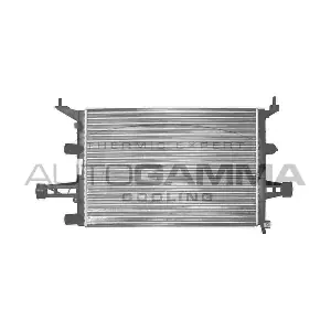 102218 AUTOGAMMA