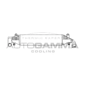 107486 AUTOGAMMA