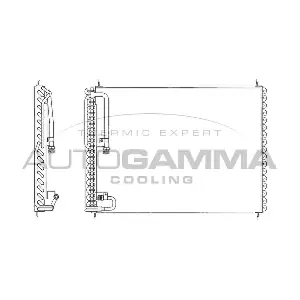 102828 AUTOGAMMA