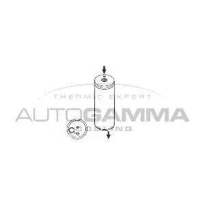 106174 AUTOGAMMA