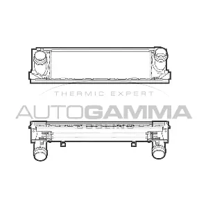 107300 AUTOGAMMA
