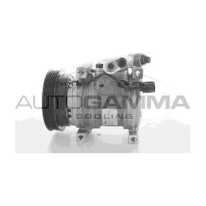 118512 AUTOGAMMA