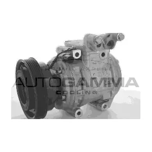 118563 AUTOGAMMA