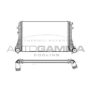 105638 AUTOGAMMA