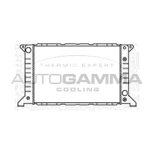 102078 AUTOGAMMA