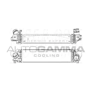 110014 AUTOGAMMA