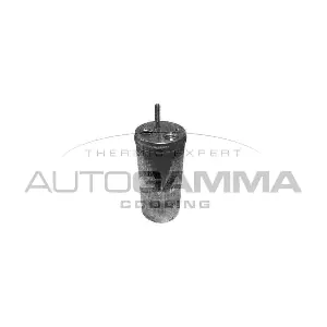 106262 AUTOGAMMA