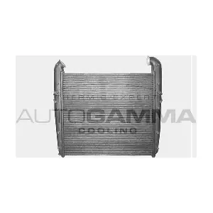 400338 AUTOGAMMA