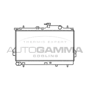 103703 AUTOGAMMA