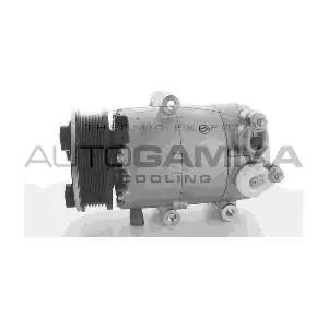 108666 AUTOGAMMA