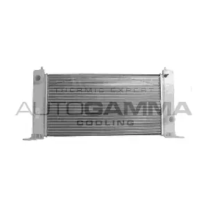103053 AUTOGAMMA