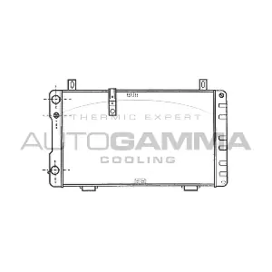 100181 AUTOGAMMA
