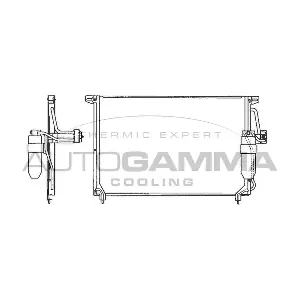 101714 AUTOGAMMA