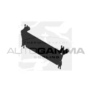 107596 AUTOGAMMA