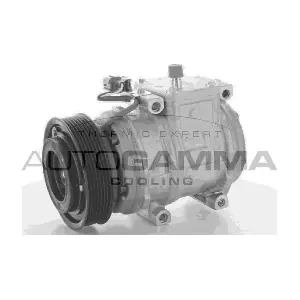 118451 AUTOGAMMA