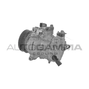 118605 AUTOGAMMA