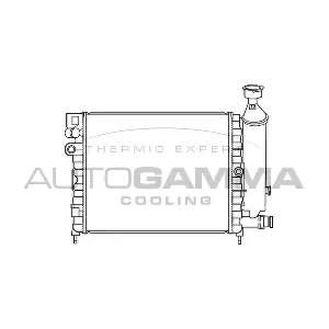 100152 AUTOGAMMA