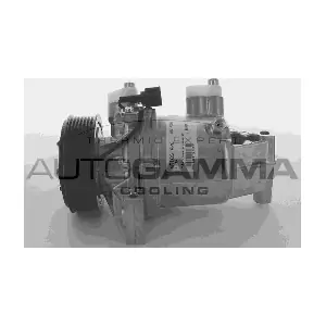 108998 AUTOGAMMA