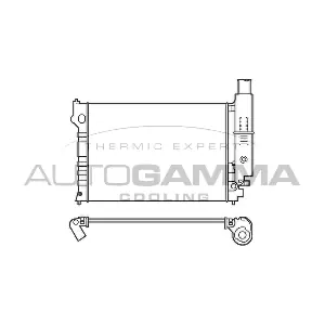 100215 AUTOGAMMA