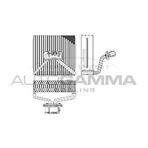 112218 AUTOGAMMA