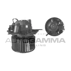 GA31012 AUTOGAMMA