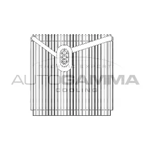 112127 AUTOGAMMA