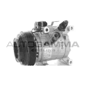 118493 AUTOGAMMA