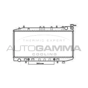 102212 AUTOGAMMA