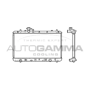 105698 AUTOGAMMA