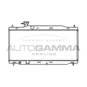 107953 AUTOGAMMA