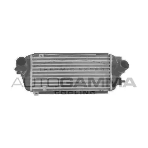 107320 AUTOGAMMA