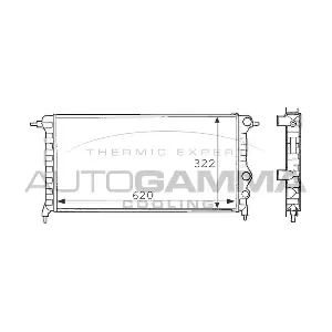 100872 AUTOGAMMA