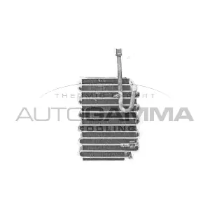 80210SM1A25 HONDA