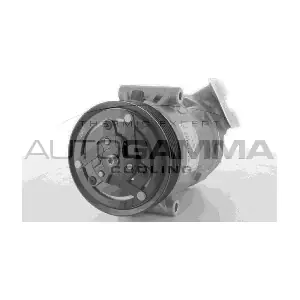 118387 AUTOGAMMA